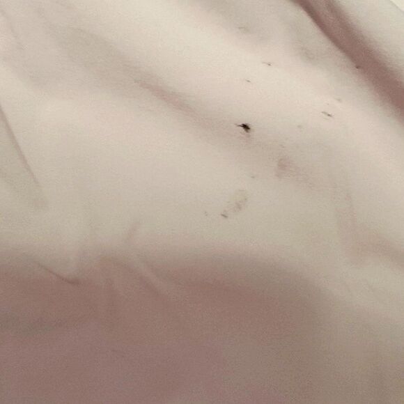 Fabletics Austyn Lavender Lined Zipper Pocket Running Sporty Shorts - Picture 16 of 16